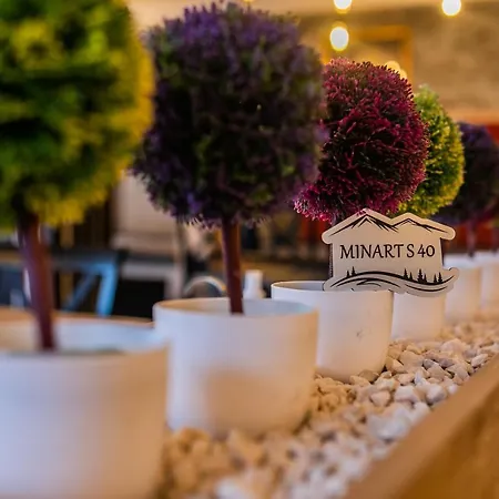 Milmari Minart S40 카파오닉